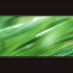 ... zelená diagonála ...