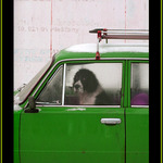 Tak a dneska šoférujem ja !!!