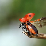 Jak mě asi neznáte