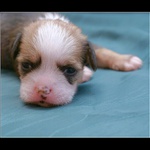 dvacátý den života