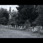 kua drááááát II