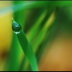 Vzpomínka na déšť