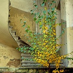 Zabudnuté schodisko