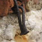 Pan hřebík a paní hřebíková