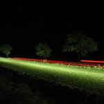 Noční zasněžená silnice