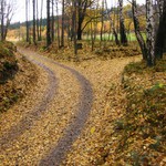 Táto: "Doleva nebo doprava?"