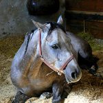 Odpolední odpočinek