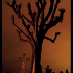 two lonely graves