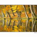 Podzimní odrazy III.