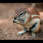 Co pak to tam asi má?