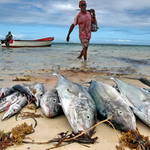 fisherman