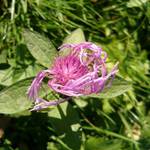 16.11.2007 - co dodat