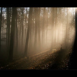 mlha stokrát jinak 023