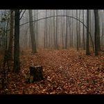 mlha stokrát jinak 025