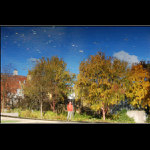 podzimní zrcadlení