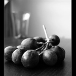 moje svatomartinské  I