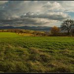 Novembrová - Listopadová