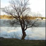 Brněnská přehrada - když tály ledy