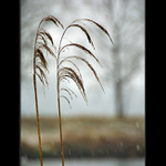 Neplač, lásko. Přežije nás, bude ale sám...