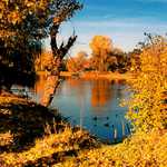 Staré vzpomínky u Berounky