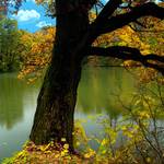 Podzim zatiší strumu u vody