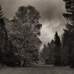 Temná chvilka podzimu