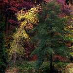 Barevný klid podzimního zátiší