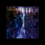 *** ptáci z hlubin ***