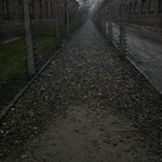 auschwitz-birkenau