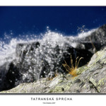 Tatranská sprcha