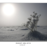 Ranné hmlisto