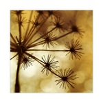 ...splněná přání...