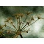 ...drobná štěstíčka...