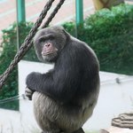 Na koho tak koukáš???