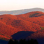 Slovenský Iron Rock