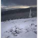 Listopadová z Krkonoš