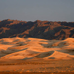 Gobi - Khongoryn Els