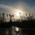 západ slunce na rybnících v skalici