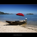 ... Skadarské jezero ...