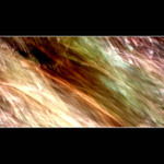 Fantazii se meze nekladou...