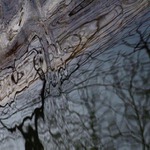 Muž, co nese lidojeda