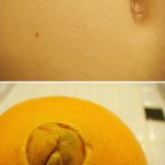 pomeranče s pupickem jsou nejsladsi