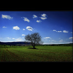 Spomienka na leto ...