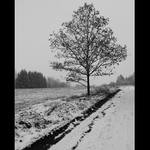 ... Když zima přichází ...