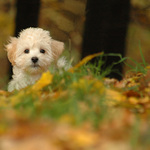 Hra na schovávanou..