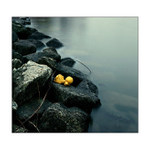 Stratene kacatko....