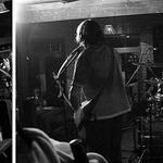 animal crackers bekstejdzovka z konzertu