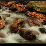 podzimní potůček (2)