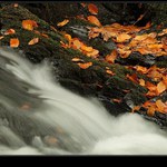 podzimní potůček (3)