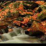 podzimní potůček (4)